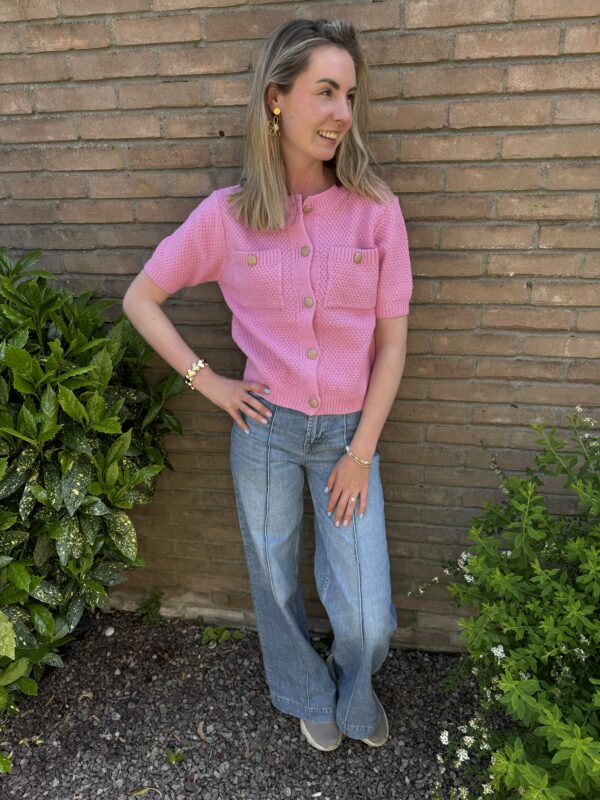 Lilly vest roze - Afbeelding 3